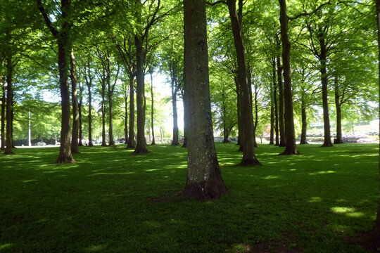 Rhododendronparken Bronderslev