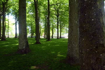Rhododendronparken Bronderslev