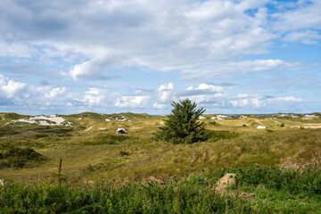 Insel Amrum die Dünen im Bereich des Leuchtturmes können zum Campen genutzt werden, am Horizont die Nordsee - 739361892