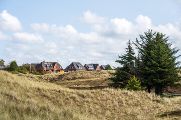 Dünenlandschaft auf der Nordseeinsel Amrum mit Blick auf die Nordsee auf den Ort Norddorf - 739362624