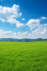 Naklejka premium Landscape with green field and blue sky