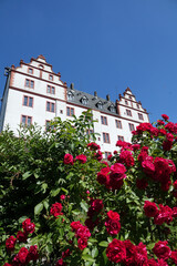 Fototapeta na wymiar Schloss Lichtenberg im Odenwald