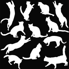 playing twelve isolated white cats on black