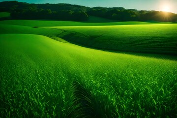 An expansive landscape of emerald green grass, stretching as far as the eye can see, under the...