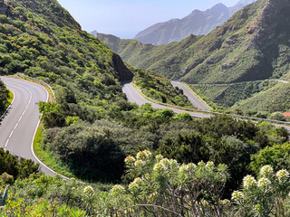 Mountain road on the southern slopes of Anaga Rural Park, Tenerife, winter cycling landscape © Kadosa