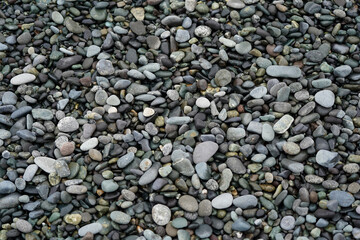 小田原 御幸の浜 砂浜 浜辺の小石