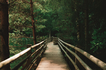 Wooden bridge in a park in Latvia