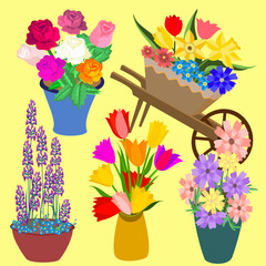 Vector - flower sortiments in different pots, illustration.
