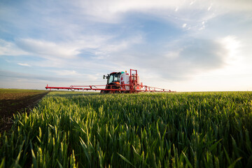 Tractor spraying wheat in field