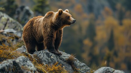 Animal resilience metaphor a bear climbing a steep mountain perseverance and strength
