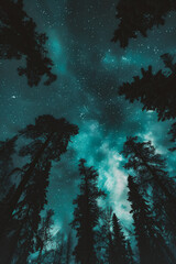 Night sky with stars and milky way over coniferous forest