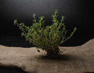 Fresh thyme on eco fabric, product photography, food, restaurant, macro, black background