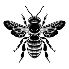 Silhouette bee animal black color only full body