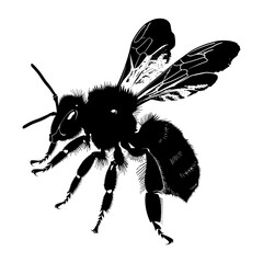 Silhouette bee animal black color only full body