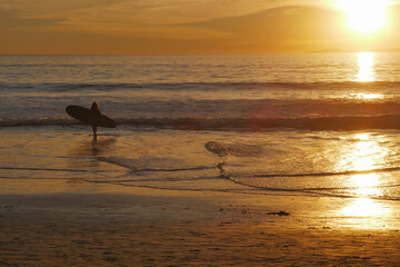 Young woman or girl holding a surfboard, entering the water and approaching the waves during a...