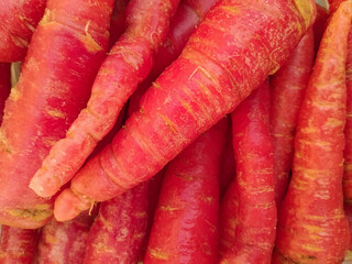 Carrot Vegetable. Fresh and Large red Carrots