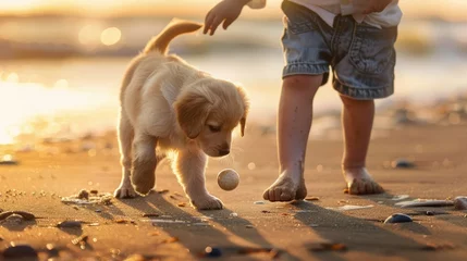 Fotobehang Adorabile cucciolo di golden retriever gioca con la palla con bambino sulla spiaggia © alexandro900