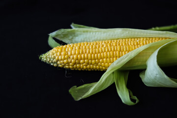 yellow corn on a black background