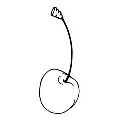 Sketch, doodle cherry berries. Vector graphics.