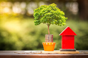 Stack gold coin and the tree with growing interest and home model put on the wood in the public park, Loan or saving money for buy a house and real estate concept.