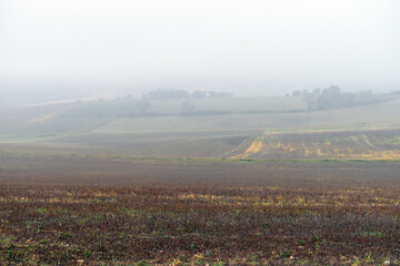 Landscape of a sown field in winter with fog