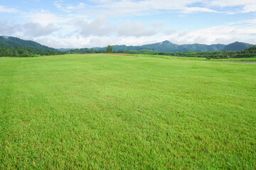 Green field with mountains under a blue sky surrounded by lush grass, trees, and scattered clouds