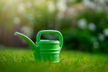 Green garden watering can made of plastic for watering.Fertilizing the soil in the...