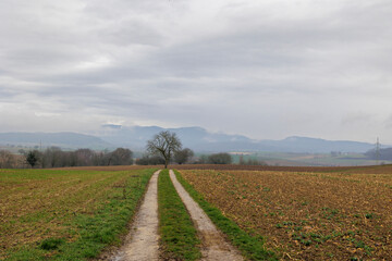 View from Marktgräflerland in the Rhine Valley to the cloud-covered mountains of the Black Forest