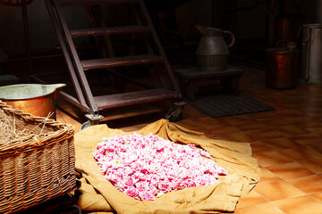 Fiori per profumo