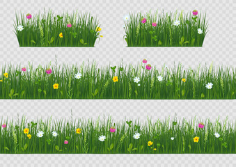 Spring flowers. 3d grass garden or meadow field with plants, green lawn grassland, clover wildflowers. Realistic botanical elements, herbal border, design background. Vector seamless landscape