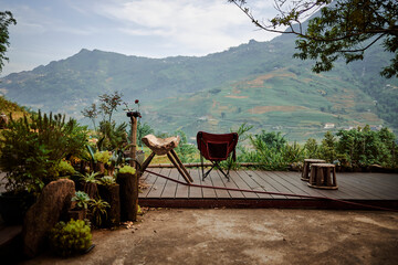 plants with beautiful views of the mountains in sapa, vietnam - 739422493