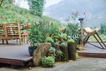 garden plants with beautiful views of the mountains in sapa, vietnam - 739422600