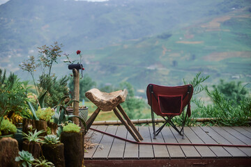 plants with beautiful views of the mountains in sapa, vietnam - 739422642