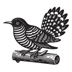 Cuckoo on a branch. Beautiful vintage engraving illustration, emblem, icon, logo, sketch. Black lines