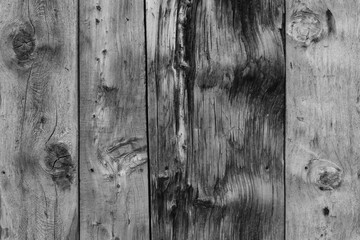 Tavole di Legno