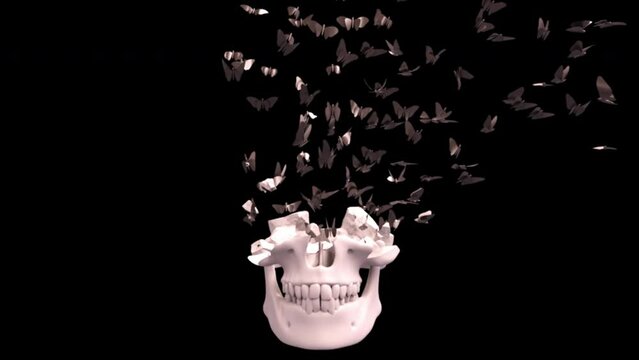 Skull And Butterflies.
This stock motion graphics video shows a skull breaking into pieces that turn into butterflies.