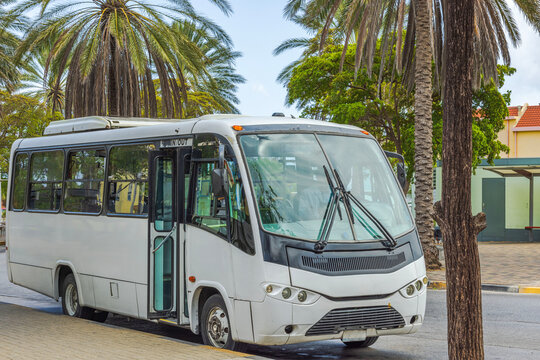Close-up view of white passenger minibus at the Willemstad, Curacao bus stop, with background of tropical trees and blue sky.