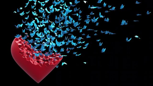 Heart And Butterflies.
This stock motion graphics video shows a heart breaking and blue butterflies flying out of it.