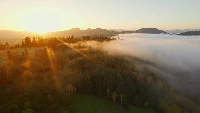 Beautiful mountain landscape at sunrise on a foggy morning