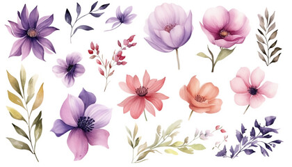 Fototapeta na wymiar Flowers watercolor illustration Manual composition