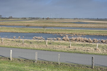 Naturschutzgebiet Wöhrdener Loch bei Büsum im Februar