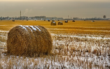 Russia. South of Western Siberia. Kuzbass. Rolls of fresh hay left by farmers on a snowy field on a...
