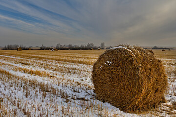 Russia. South of Western Siberia. Kuzbass. Rolls of fresh hay left by farmers on a snowy field on a...