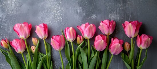 banner Pink tulips on grey craft background, top view and space for text, background for congratulations