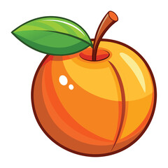 Vector cartoon Apricot on white.