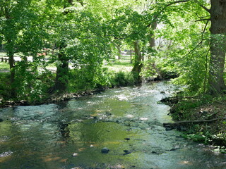 Stretch of river in a park in the United States, during spring, with trees with new green leaves and tranquility of nature