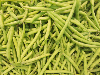 FRESH GREEN VEGETABLE IN RACK 