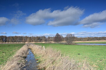 Entwässerungsgraben in den Moorwiesen bei Hagenburg an einem sonnigen Februarnachmittag