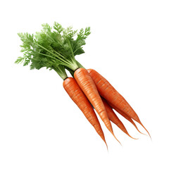 carrot isolated on white background
