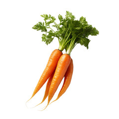 carrot isolated on white background
